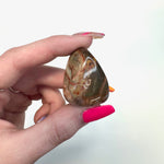 Tumbled Petrified Wood, Petrified Wood Tumble, Polished Petrified Wood, Healing Petrified Wood, B-61