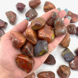 Arizona Petrified Wood, Petrified Wood Tumbled Stone, Petrified Wood Tumble, Polished Petrified Wood, T-109