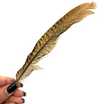 Golden Pheasant Feather, Ethically Sourced Feather, Pheasant Feather
