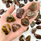 Cheetah Agate Tumble, Tumbled Cheetah Agate, Polished Cheetah Agate, P-83