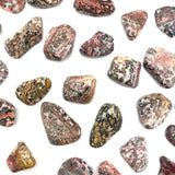 Leopardskin Jasper, Tumbled Leopard Jasper, Spotted Jasper, Healing Leopard Jasper