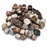 Tumbled Petrified Wood, Petrified Wood Tumble, Polished Petrified Wood, Healing Petrified Wood, B-61