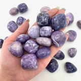 Lepidolite Tumbled Stone, Tumbled Lepidolite, Healing Lepidolite, Pocket Lepidolite Stone, T-37