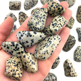 Dalmatian Stone, Tumbled Dalmatian Stone, Dalmatian Jasper, Healing Dalmatian Jasper