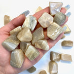 Earth Moonstone Tumble, Natural Moonstone Tumble, Flash Moonstone, Earth Moonstone Pocket Stone, T-161