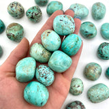 ONE Peru "Turquoise" Tumble, Peru Chrysocolla, Tumbled Chrysocolla, Natural Chrysocolla