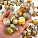 Bumblebee Jasper Tumble, Tumbled Bumblebee Jasper, Healing Bumblebee Jasper, T-11