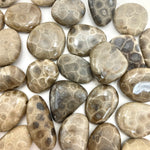 Petoskey Stone Tumble, Tumbled Petoskey Stone, Michigan Petoskey Stone, T-154