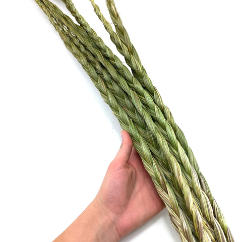 Braided Sweetgrass