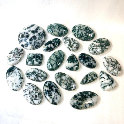 Tree Agate Cabochon, Quality Tree Agate Cabochon, 25g or 100g Tree Agate Cabochon, Wholesale Tree Agate Cabochon