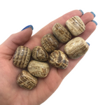 Aragonite Tumbled Stone, Tumbled Aragonite, Pocket Aragonite