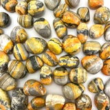 Bumblebee Jasper Tumble, Tumbled Bumblebee Jasper, Healing Bumblebee Jasper, T-11