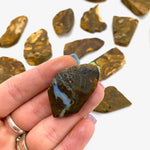 Rough Boulder Opal, Australian Boulder Opal, Natural Boulder Opal, Flashy Boulder Opal, T-157