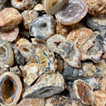 Oco Geode Stone, Natural Oco Geode, Oco Geode Half, Druzy Oco Geode