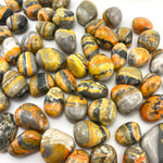 Bumblebee Jasper Tumble, Tumbled Bumblebee Jasper, Healing Bumblebee Jasper, T-11