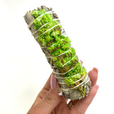 GREEN Sinuata White Sage, Flower Sage, White Sage with Green Flowers, White Sage with Dried Flowers