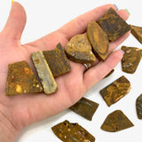 Rough Boulder Opal, Australian Boulder Opal, Natural Boulder Opal, Flashy Boulder Opal, T-157
