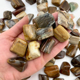 Petrified Wood Tumble, Tumbled Petrified Wood, Healing Petrified Wood