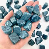 RARE Blue Jade Tumble, Dianite Tumble, Siberian Blue Jade, Tumbled Blue Jade, Tumbled Dianite, T-153