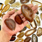 3pc Agate Slice, Small Agate Slice, Natural Agate Slice, Natural Agate Slab, P-10
