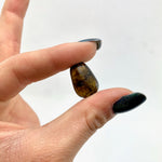 ONE Dravite Tumbled Stone, Small Dravite Tumble, Brown Tourmaline, Quality Dravite