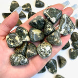 Preseli Stonehenge Tumble, Stonehenge Bluestone, Tumbled Preseli Stonehenge, Natural Stonehenge Stone, P-114