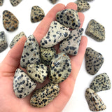 Dalmatian Stone, Tumbled Dalmatian Stone, Dalmatian Jasper, Healing Dalmatian Jasper