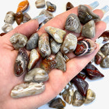 Small Crazy Lace Agate Tumble, Tumbled Crazy Lace Agate, Small Crazy Lace Pocket Stone, T-41