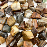 Petrified Wood Tumble, Tumbled Petrified Wood, Healing Petrified Wood