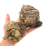 Rose of Jericho, Small Size, Jericho Flower, Jericho Rose