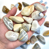 Madagascar Flint Tumble, Tumbled Madagascar Flint, Polished Madagascar Flint, Flint Pocket Stone, P-153