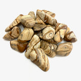 Picture Jasper Tumble, Tumbled Picture Jasper, Brown Jasper, Polished Picture Jasper, T-97
