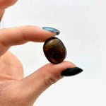 ONE Dravite Tumbled Stone, Small Dravite Tumble, Brown Tourmaline, Quality Dravite