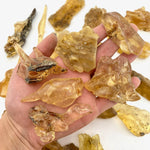 Copal Amber Specimen, Madagascar Amber, Natural Amber, Rough Amber, T-188