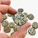 Dalmatian Worry Stone, Smooth Dalmatian Jasper, Healing Dalmatian Jasper, P-1